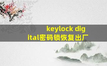 keylock digital密码锁恢复出厂